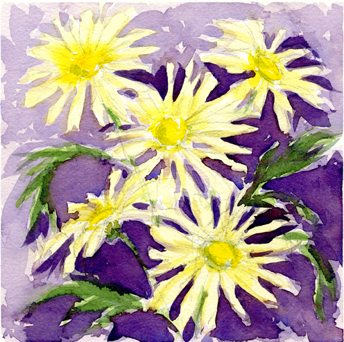Yellow Daisies lo