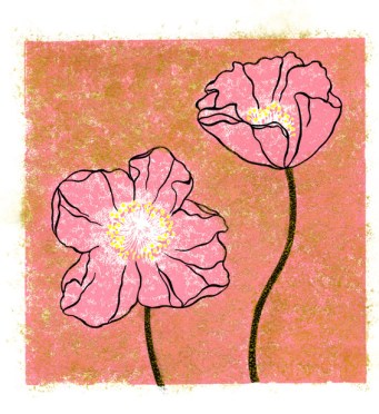 Pink Poppies email