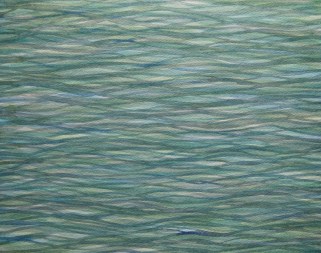 Tranquil Tuggerah 2 lo