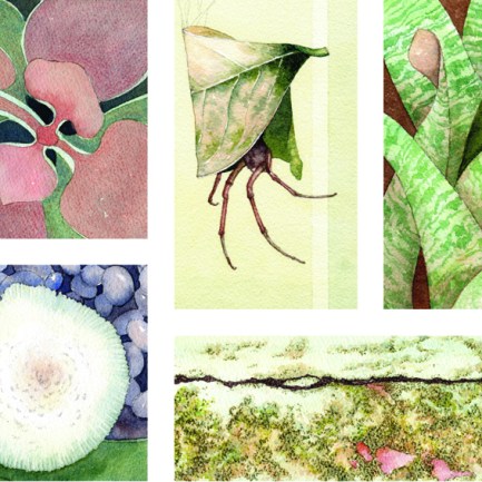 Greenway Final lo crop.jpg